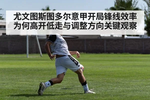 soccer striker shooting goal